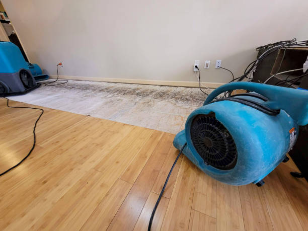 Professional Water Damage Repair technician working in Sunbright, TN
